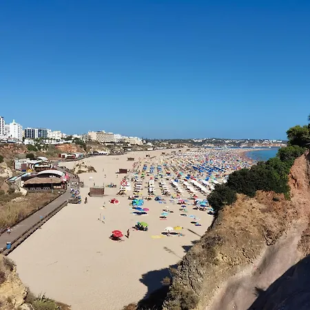 Rocha Cinza Portimão